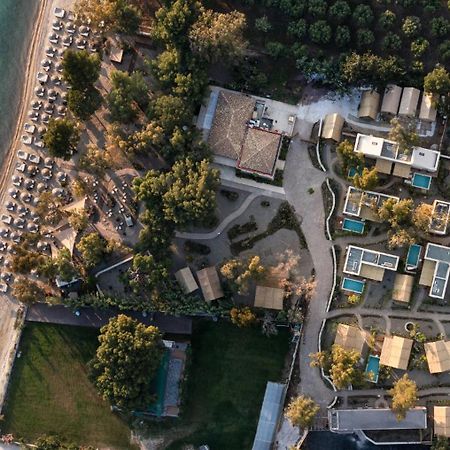Ergon Beach House Nikiti Eksteriør billede